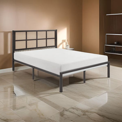 Annie Queen Platform Bed, Framed Faux Cane Panel Headboard, Dark Bronze