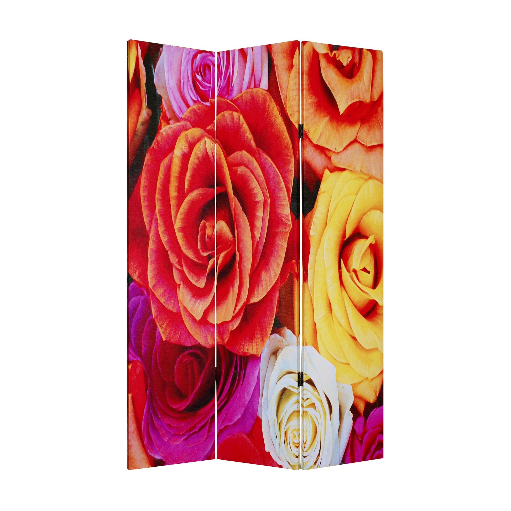 3 Panel Canvas Screen with Contrasting Flower Print, Multicolor — Chic Home-Decor