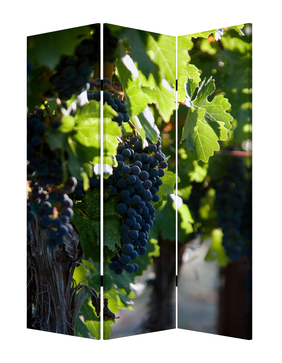 Grape Vine Print Foldable Canvas Screen with 3 Panels, Multicolor — Chic Home-Decor