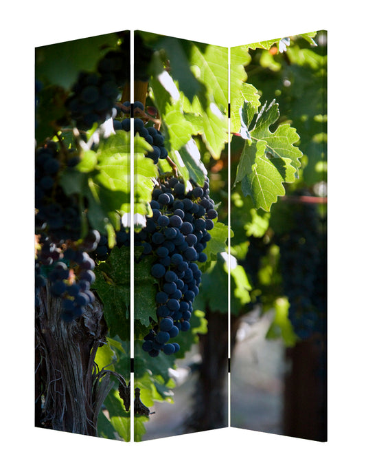Grape Vine Print Foldable Canvas Screen with 3 Panels, Multicolor — Chic Home-Decor