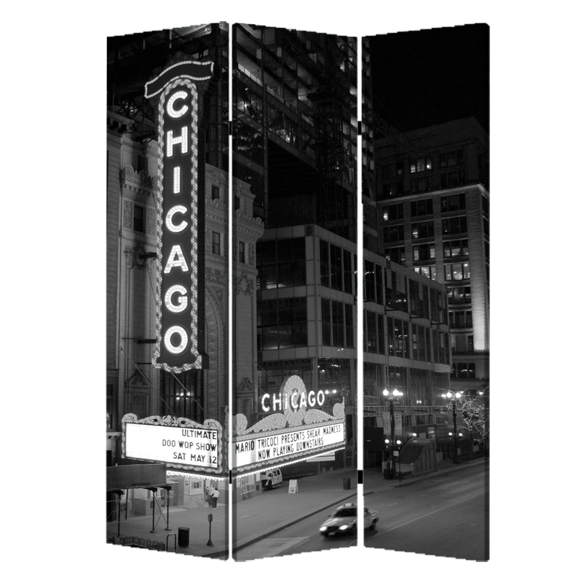 3 Panel Foldable Screen with Chicago Print, Black and White — Chic Home-Decor