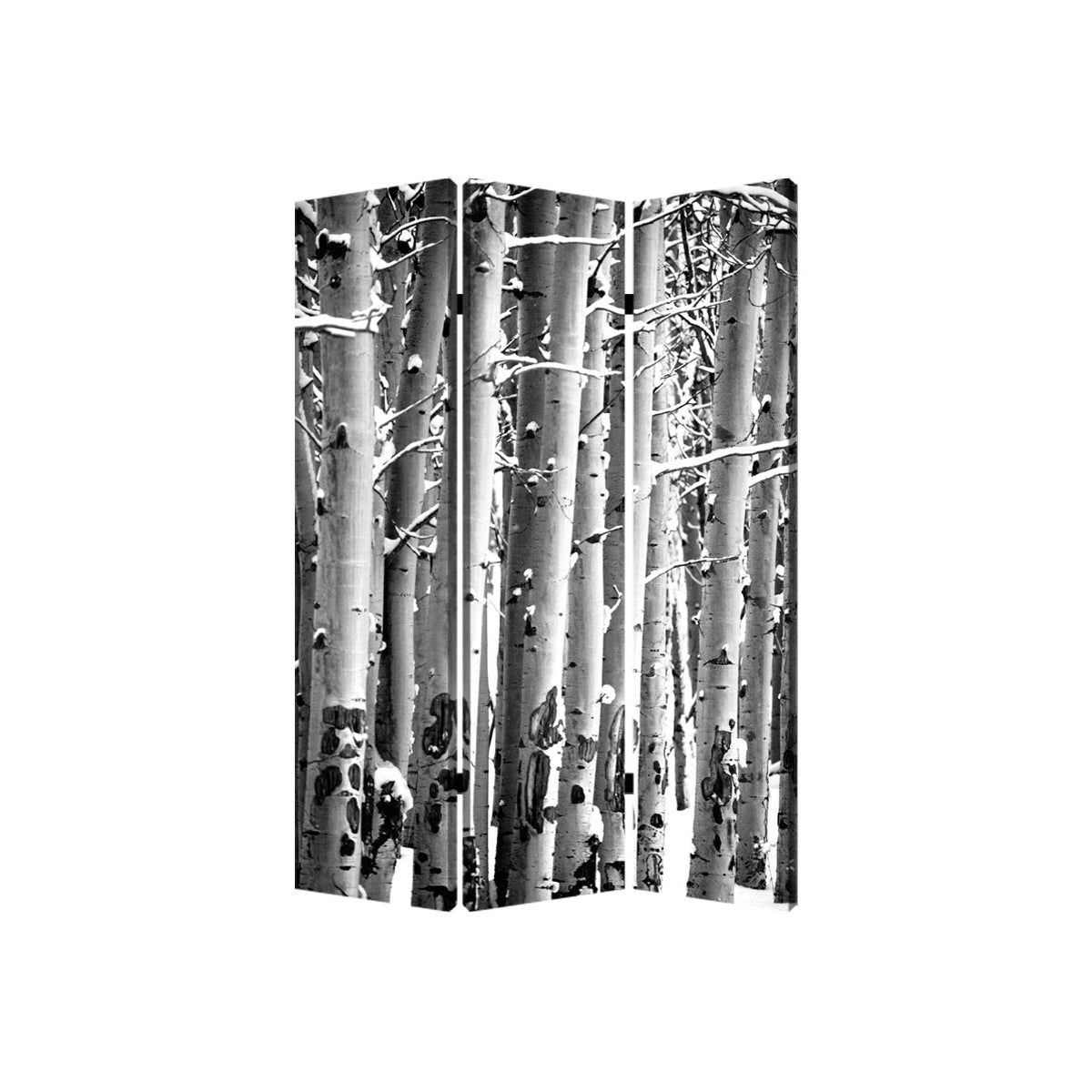 3 Panel Canvas Foldable Screen with Birch Print, Black and White — Chic Home-Decor