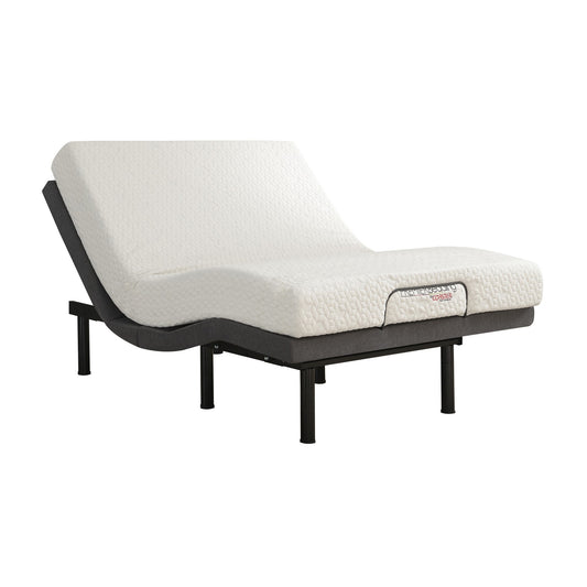 Liza Adjustable Twin Bed Base, Wireless Remote, Ergonomic Head Foot Incline — Chic Home-Decor