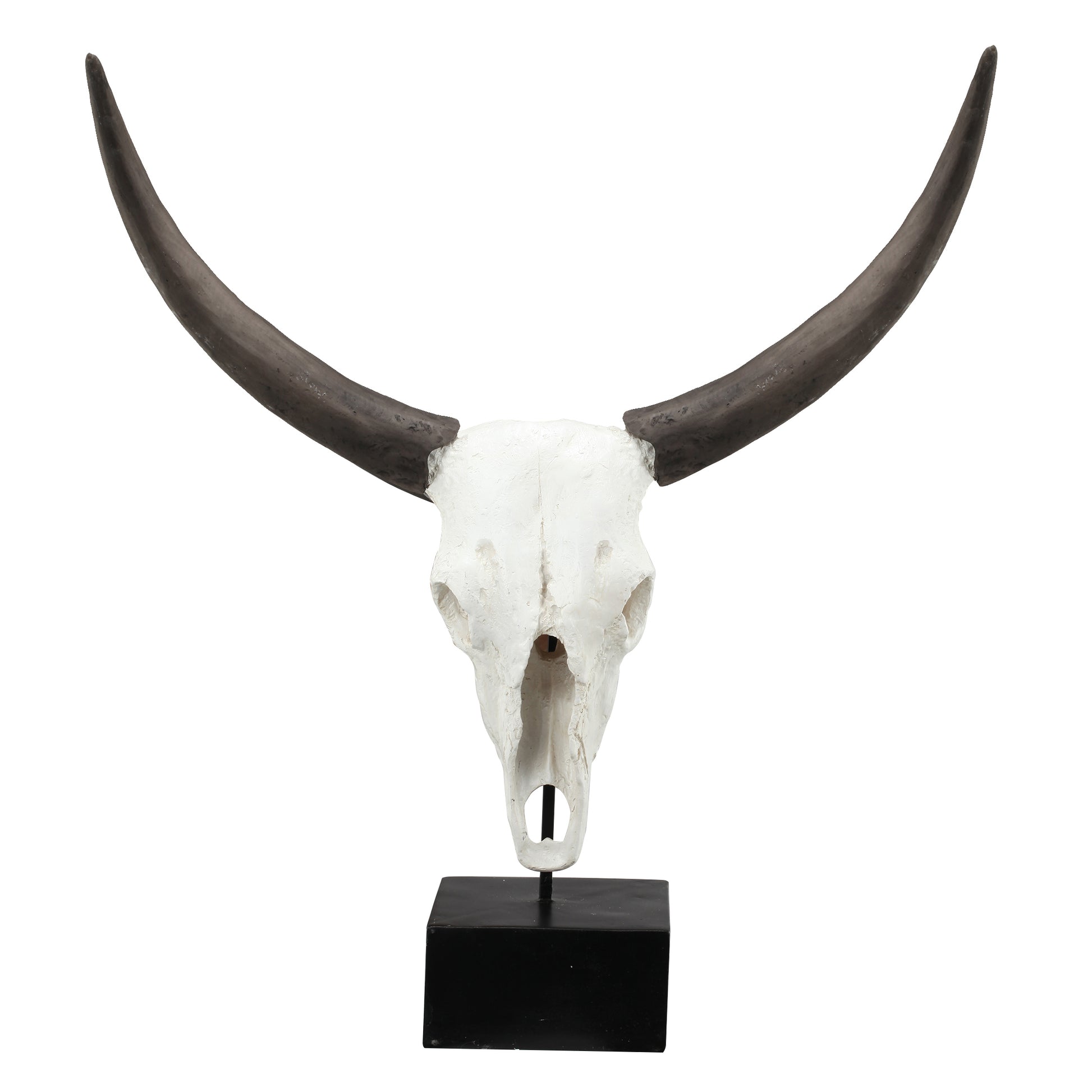 26 Inch Resin Cow Skull Accent Table Decoration, Metal Block Base, White — Chic Home-Decor