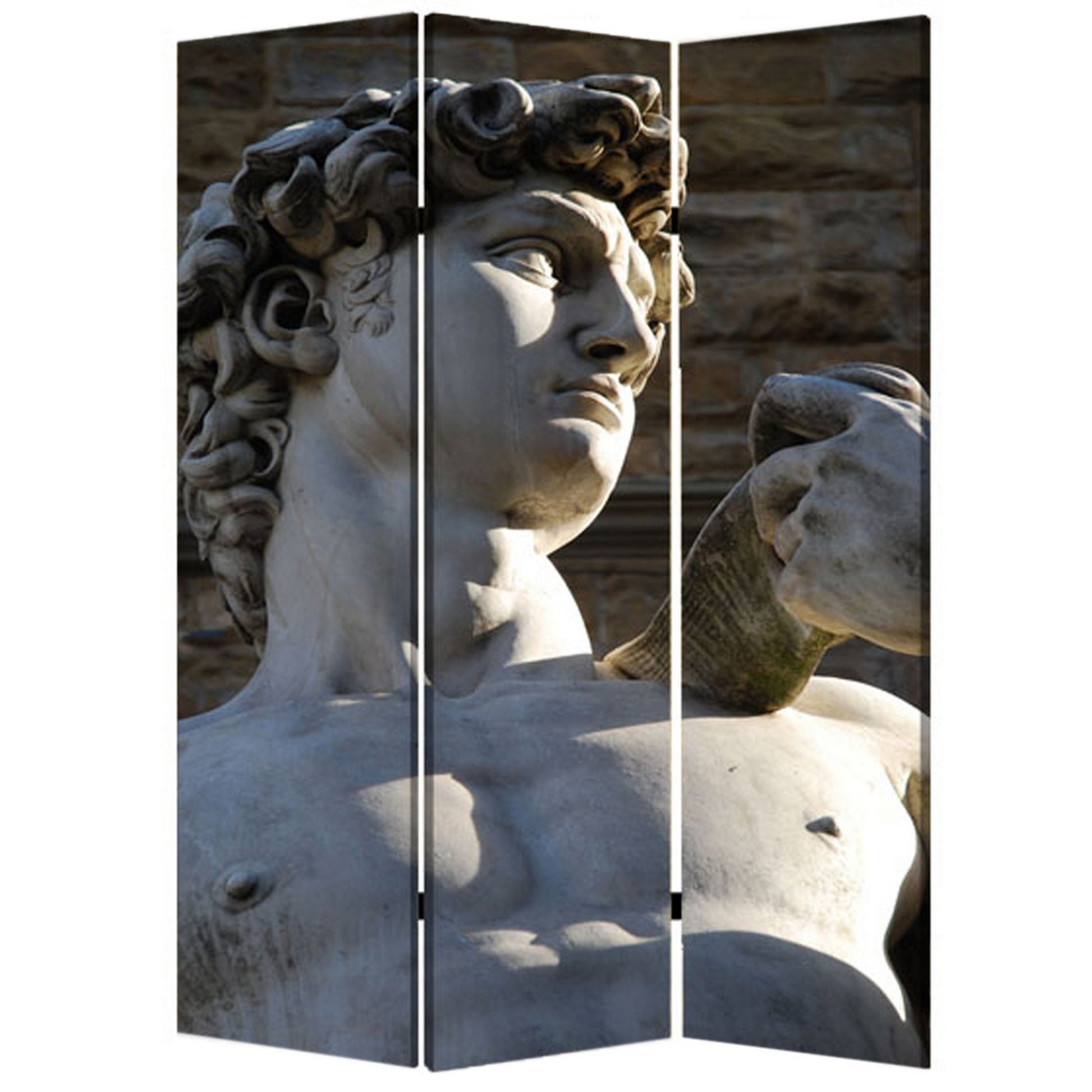 Brar 71 Inch 3 Panel Canvas Screen, Michelangelos David Print, Multicolor — Chic Home-Decor