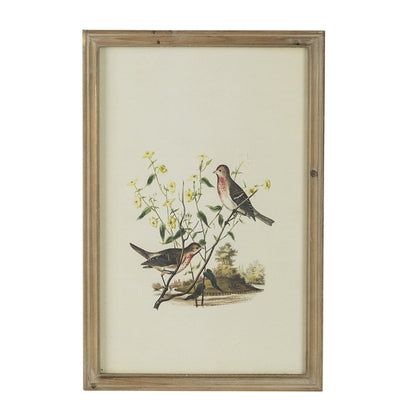 16 x 24 Bird Framed Wall Art Print Set of 4, Wood, Vintage Gray and White