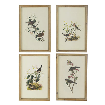 16 x 24 Bird Framed Wall Art Print Set of 4, Wood, Vintage Gray and White