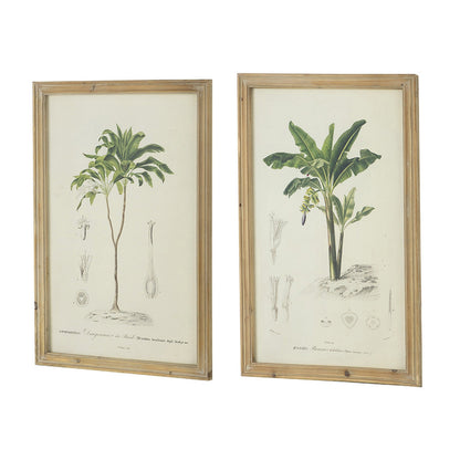 24 x 32 Framed Art Print Set of 2, Tree Design, Fir Wood, Green, Brown
