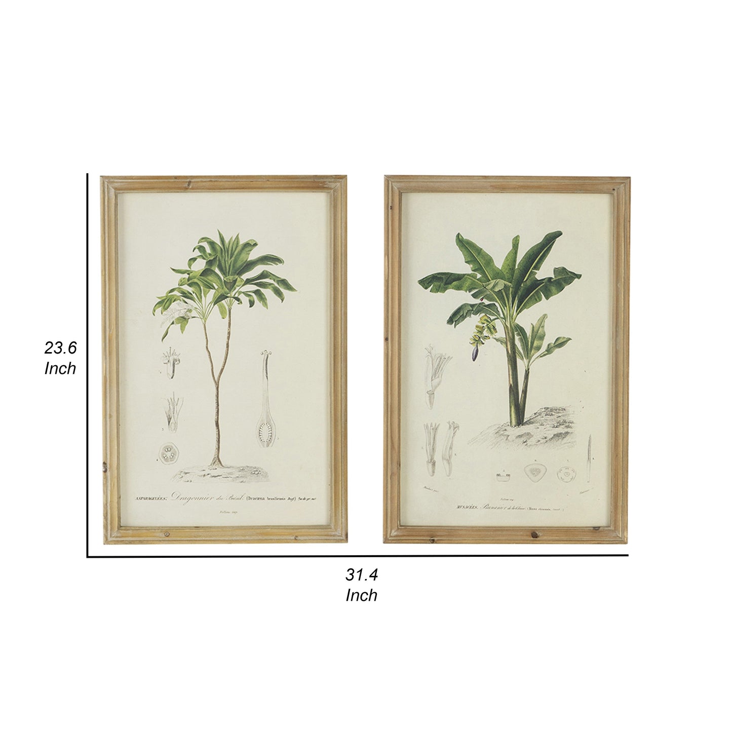 24 x 32 Framed Art Print Set of 2, Tree Design, Fir Wood, Green, Brown
