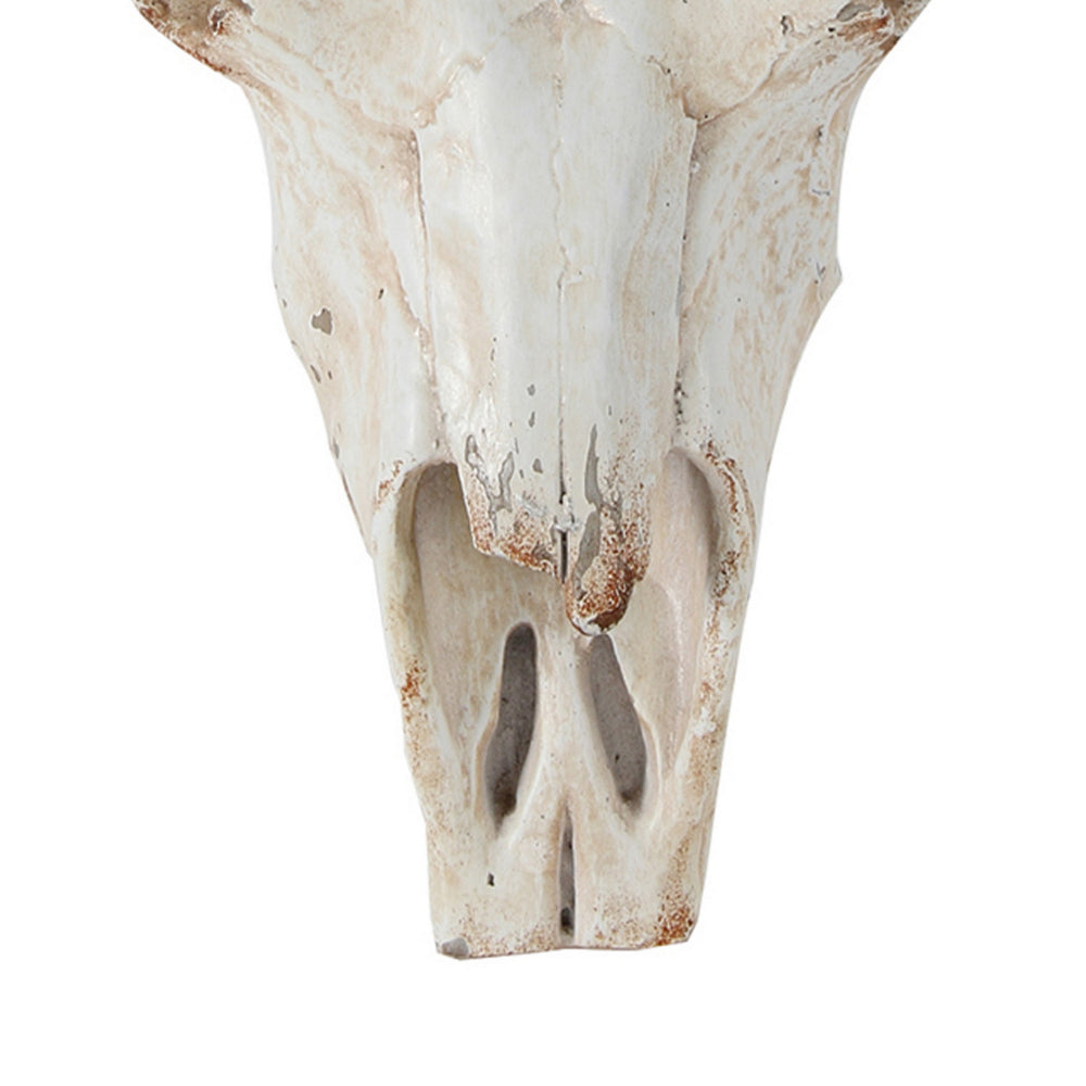 19 Inch Realistic Faux Steer Head Wall Decor, Cow Skull White, Brown Finish