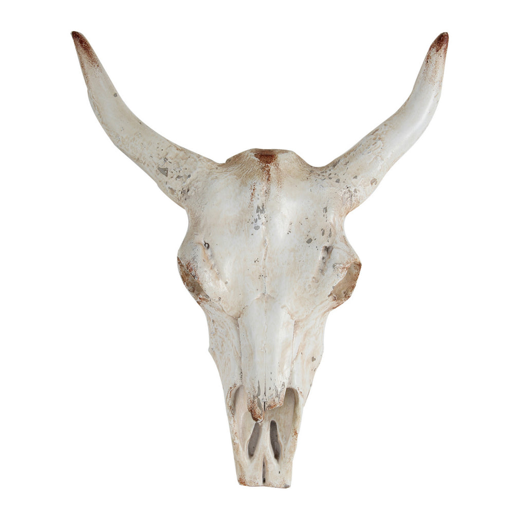 19 Inch Realistic Faux Steer Head Wall Decor, Cow Skull White, Brown Finish