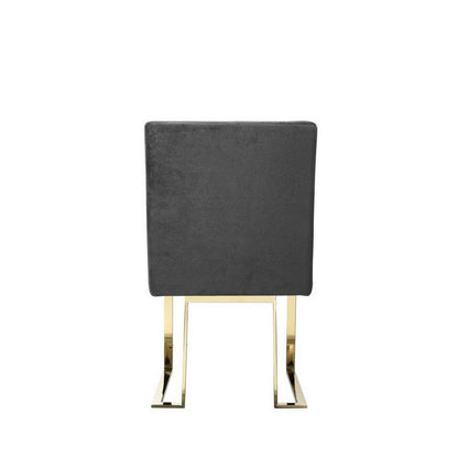 Boly 24 Inch Side Dining Chair Set of 2, Gray Velvet, Gold Cantilever