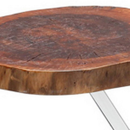 Cid Danes 17 Inch End Table, Live Edge Tree Trunk Top, Metal Base in Chrome