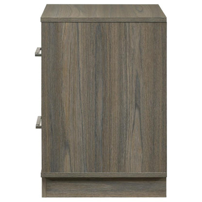 Fene Nightstand, 2 Storage Drawers with Nickel Handles, 24 Inch Gray