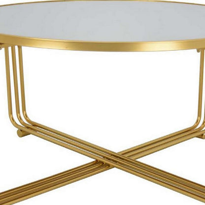 Plant Stand Coffee Table, 37 Inch Round Mirror Top, Modern Gold Metal