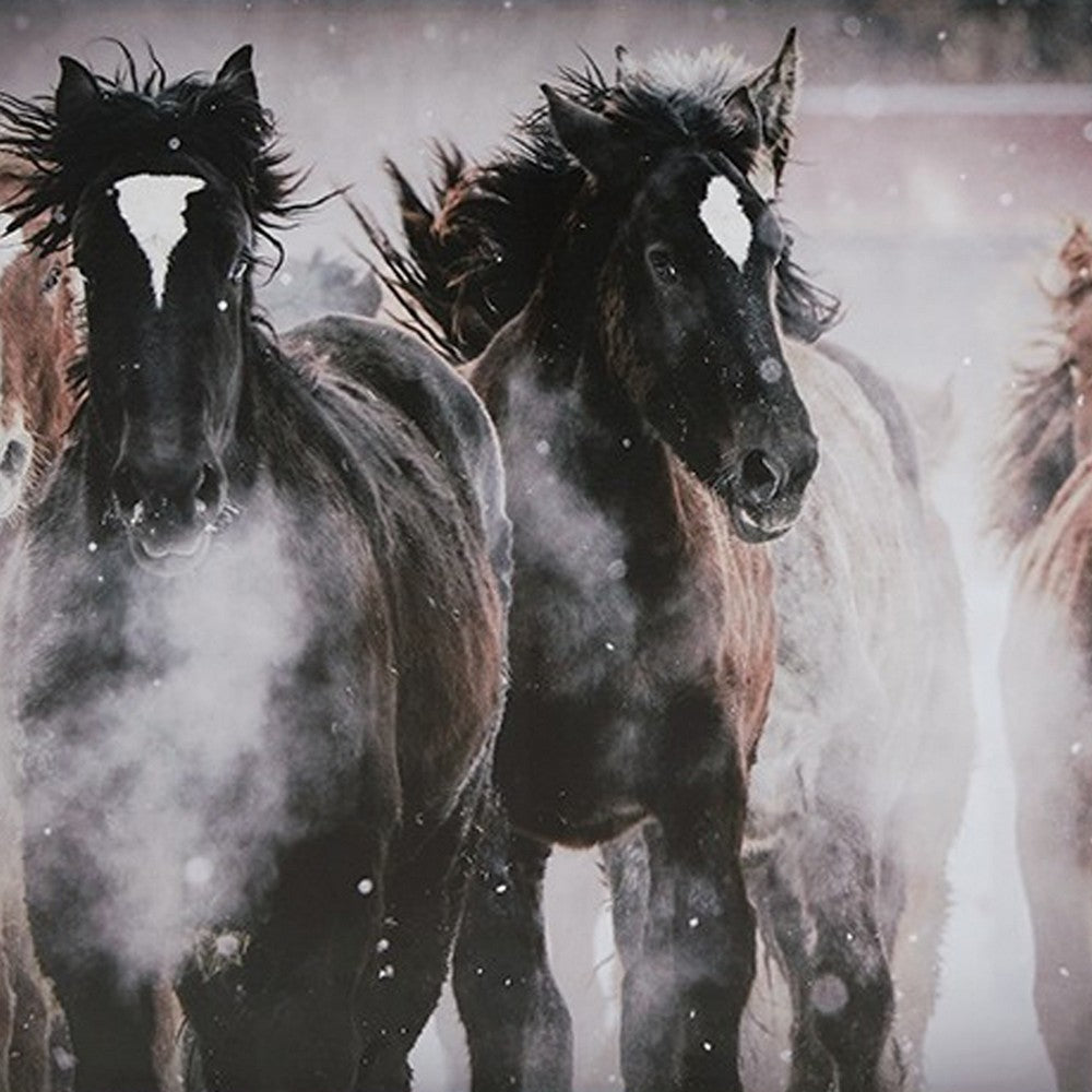 Hose Wall Art, 36x48 Painted Canvas, Brown Black White Running Horses