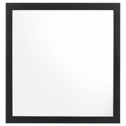Dle Rectangular Dresser Mirror, Flush Frame, Flat Glass, Black Wood