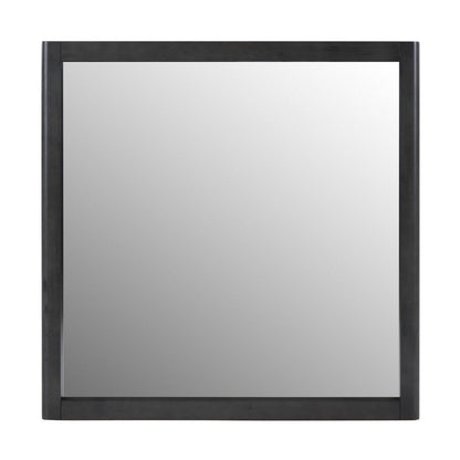 Noe Celia Dresser Mirror, Retro Luxe Gray Solid Wood Frame, 40 Inch