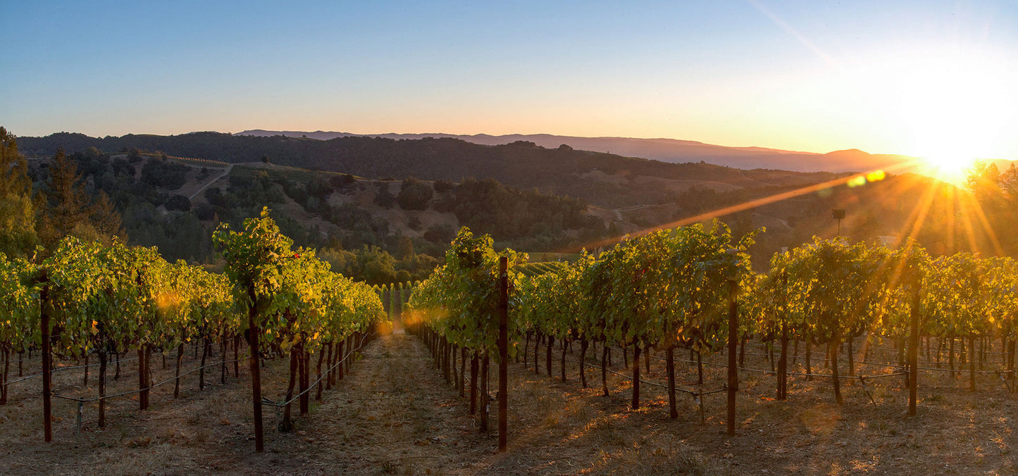 Napa