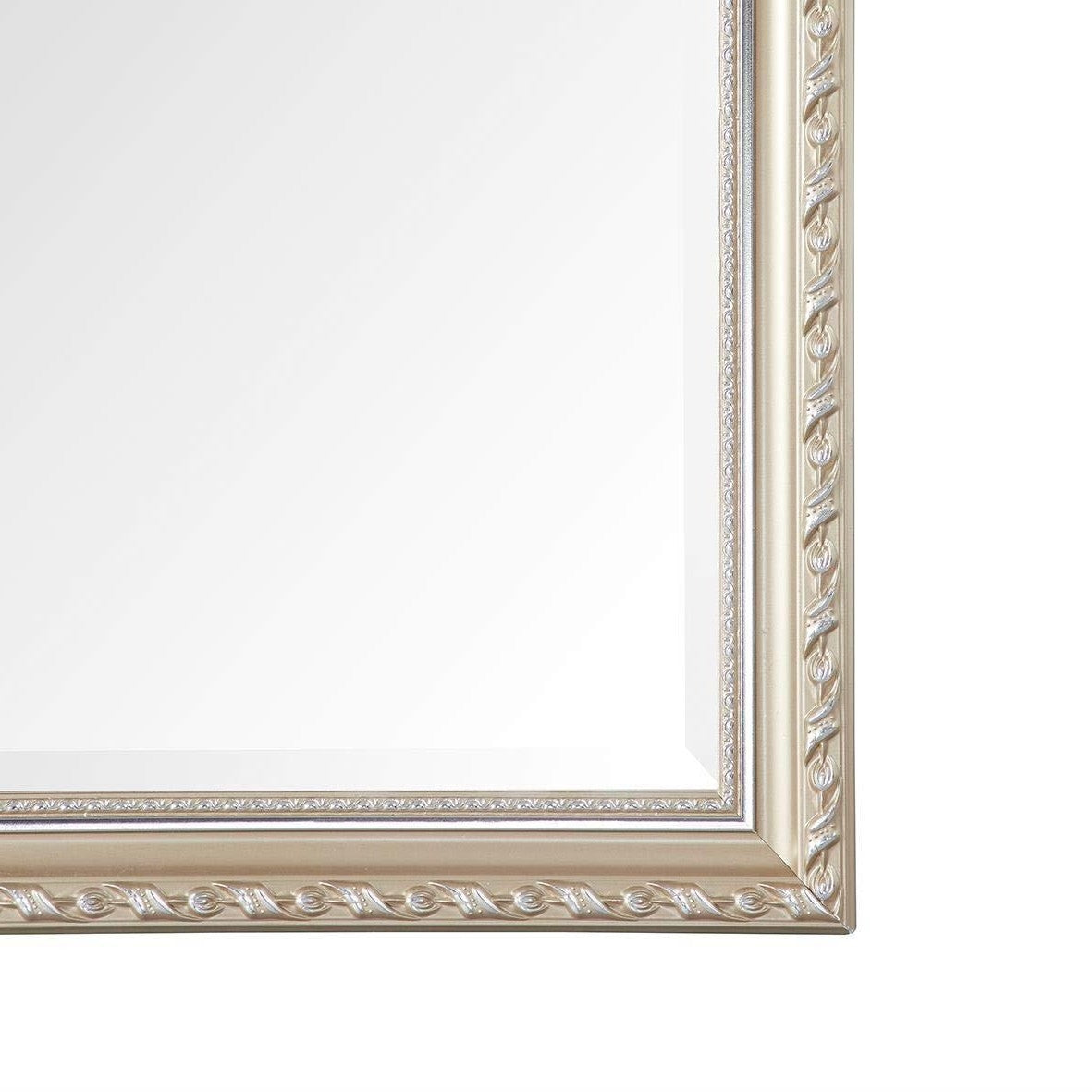 Champagne Full Length 65 x 22 Ornamental Filigree Floor Mirror