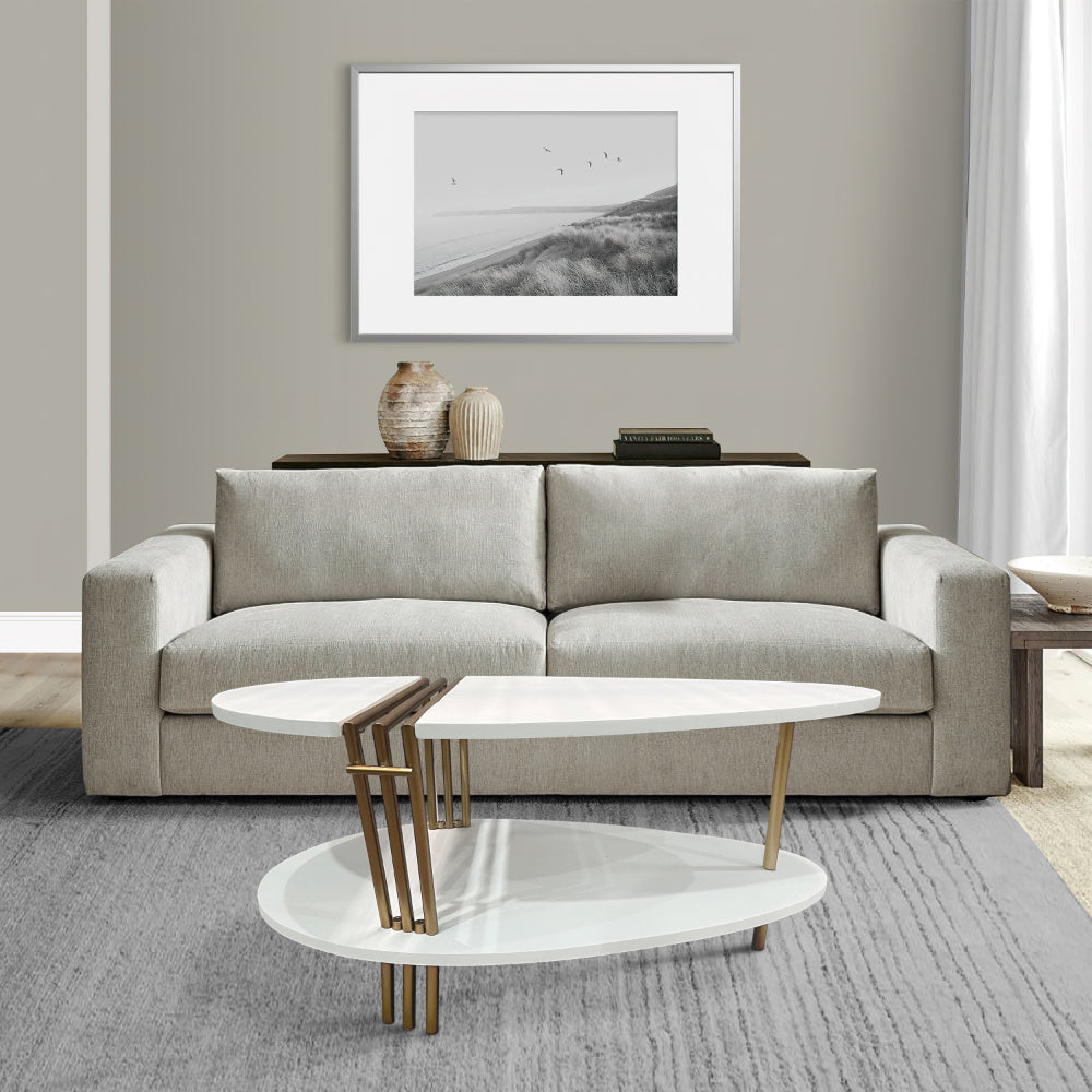 36 Inch Modern Coffee Table, Oval Elliptical Shape, White Mango Wood With Antique Brass