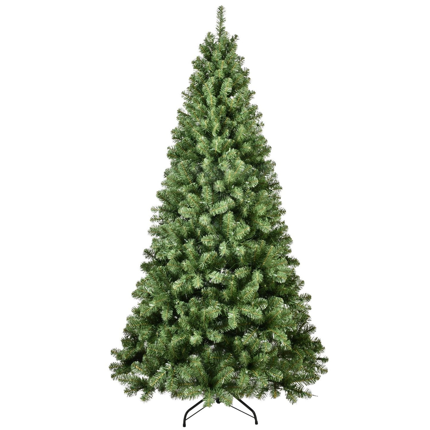 555689841