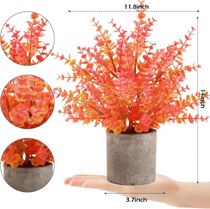 555731181
