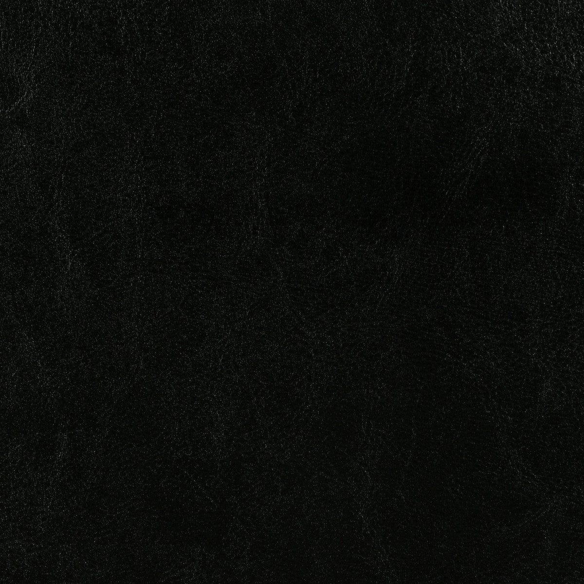 558484521