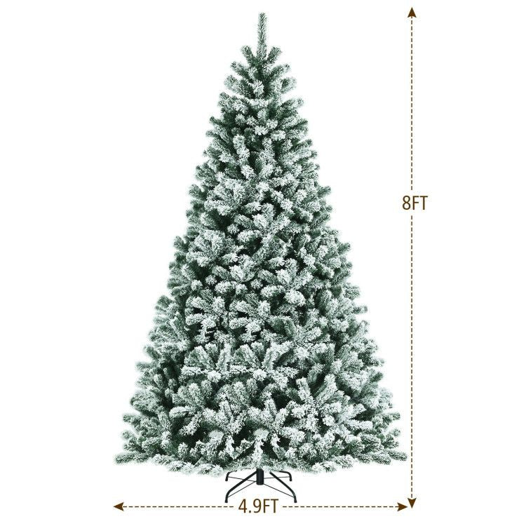 555683381