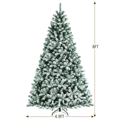 555683381