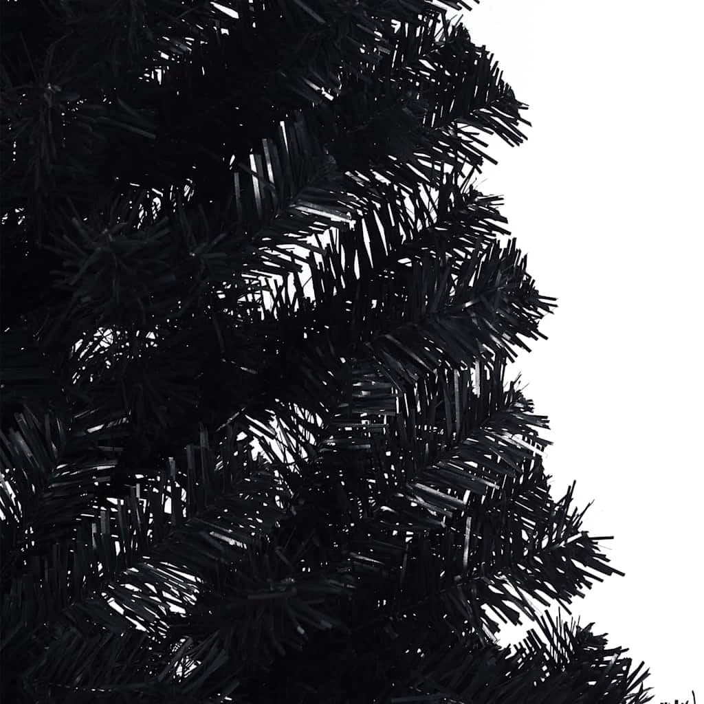 555808021
