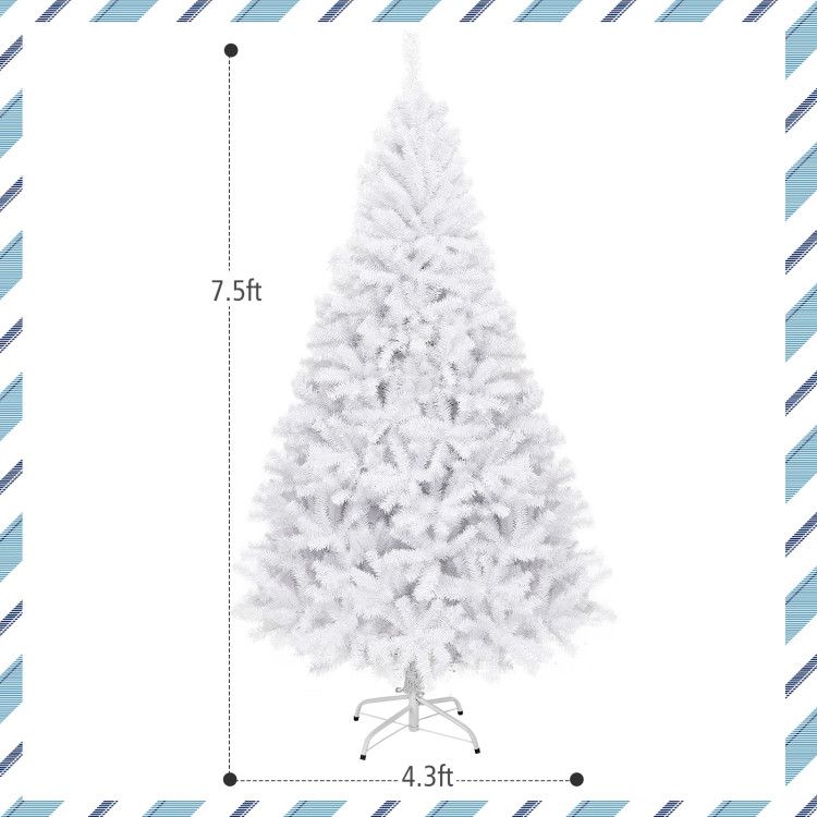555779061