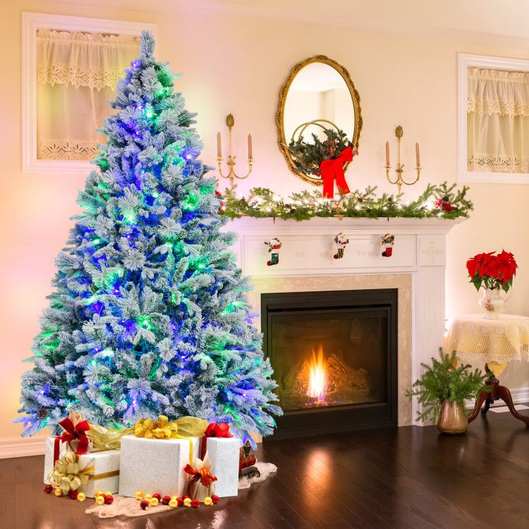 555683481