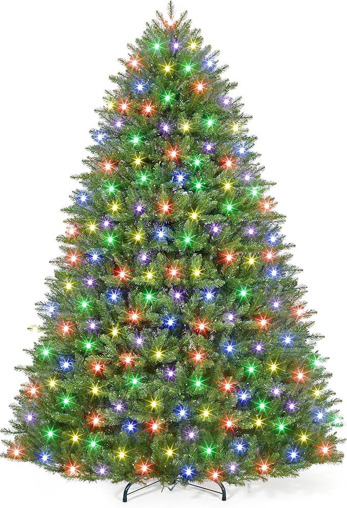 555700531