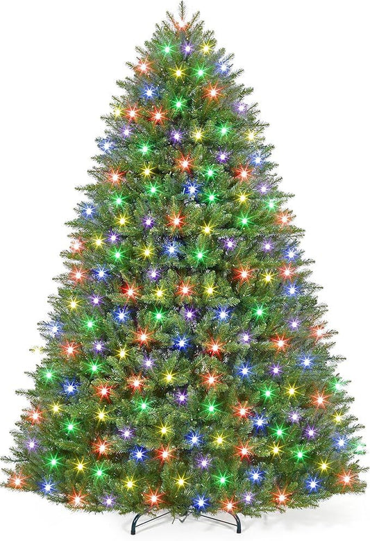 555700531