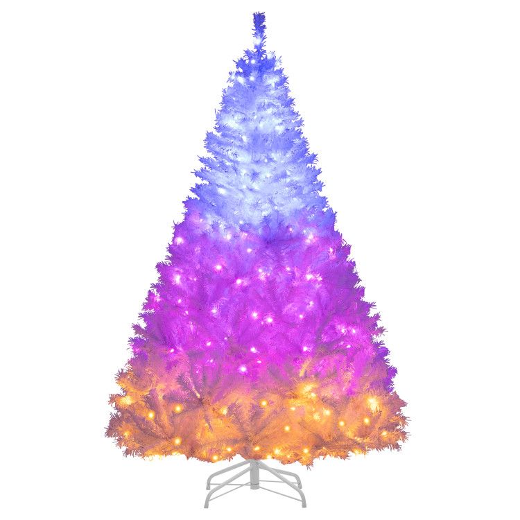555816581
