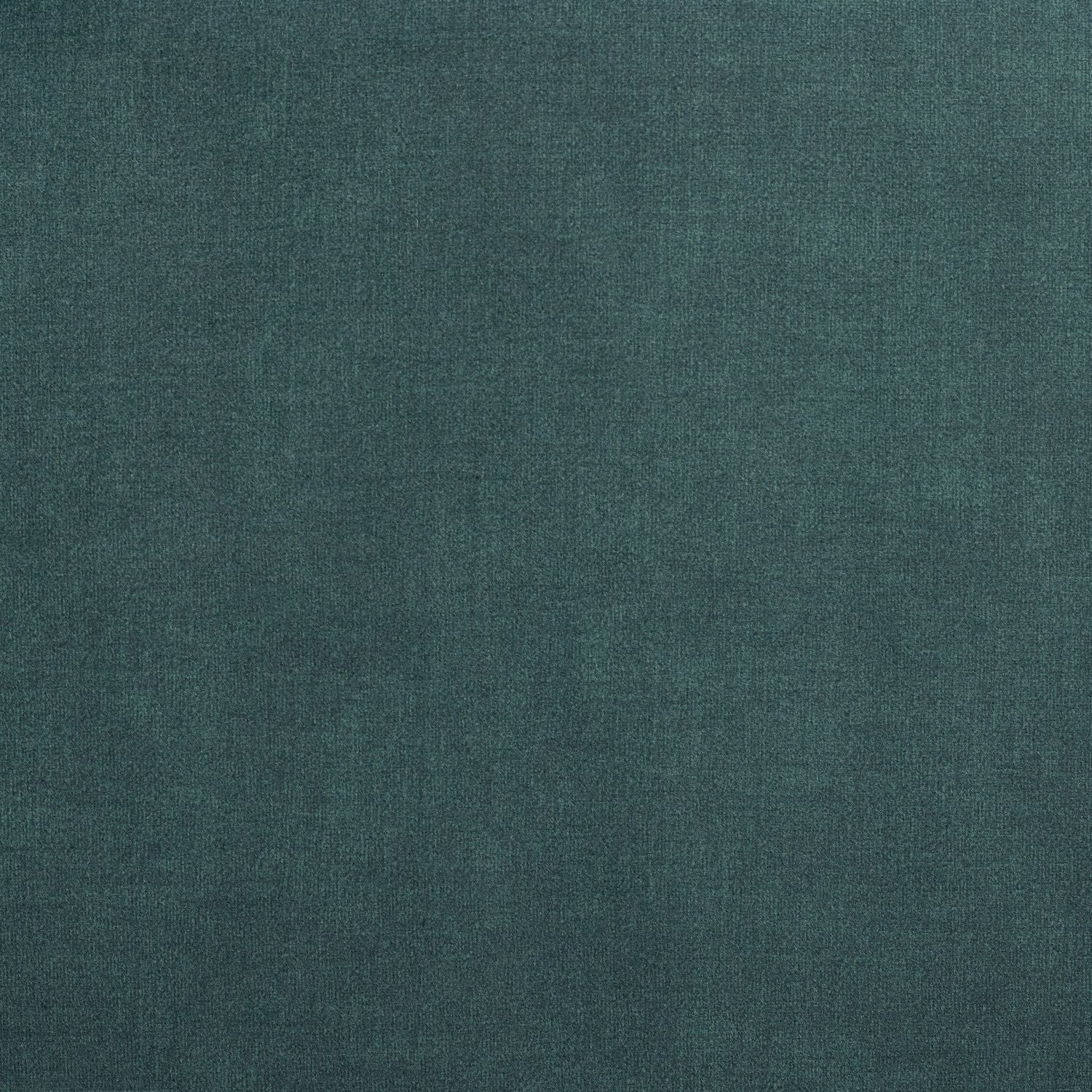 555217641