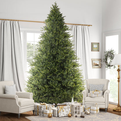 558349831