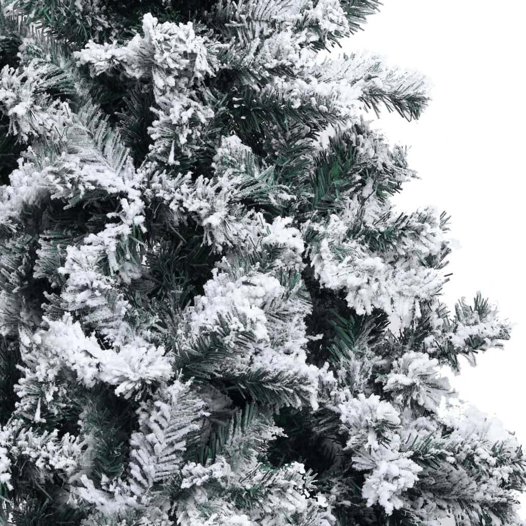 555682561