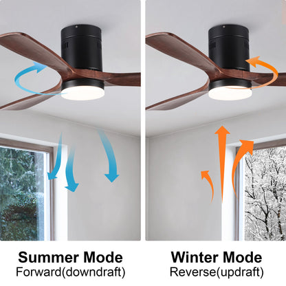 555833041