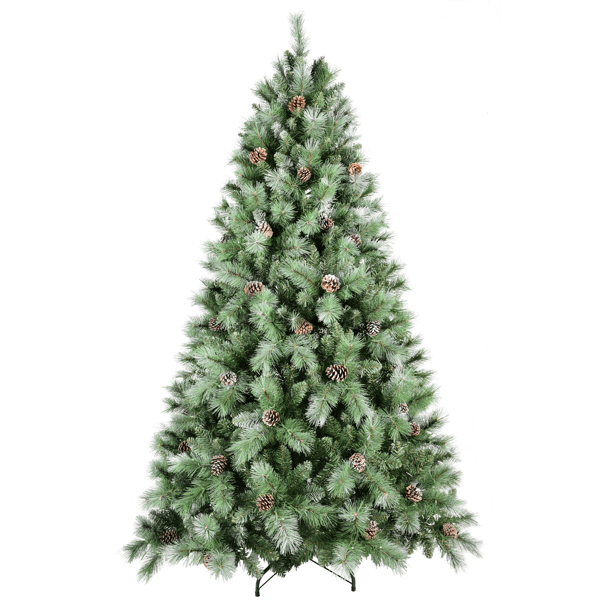 555811961