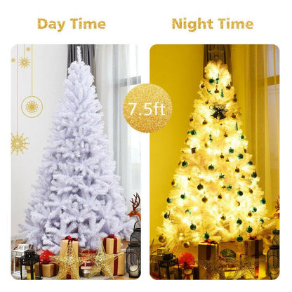 555779141