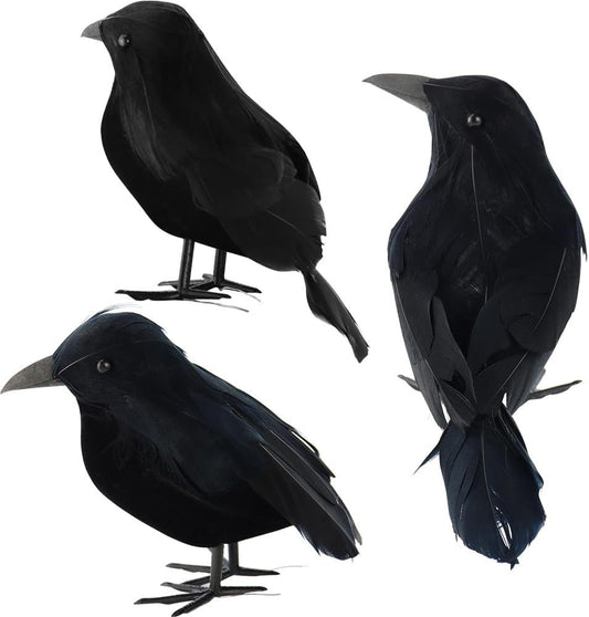 555778311