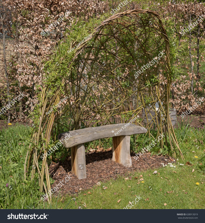 Willow Bench
