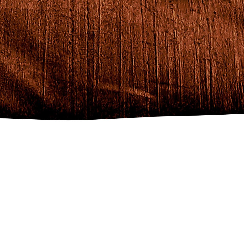 Jay 2 Piece Twin Comforter Set, Copper Polyester Velvet Deluxe Texture - View 4