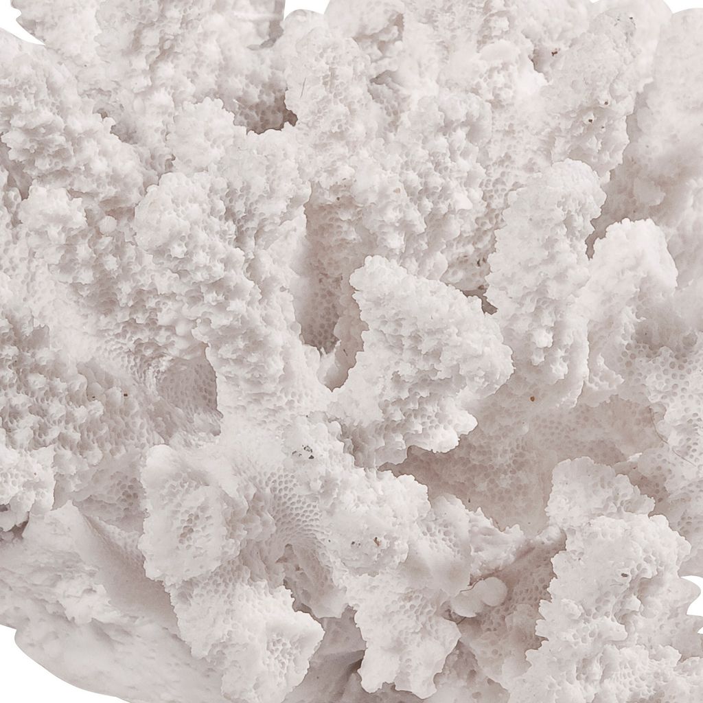 Lily 9 Inch Faux Coral Accent Sculpture, Polyresin Table Decoration, White - View 2