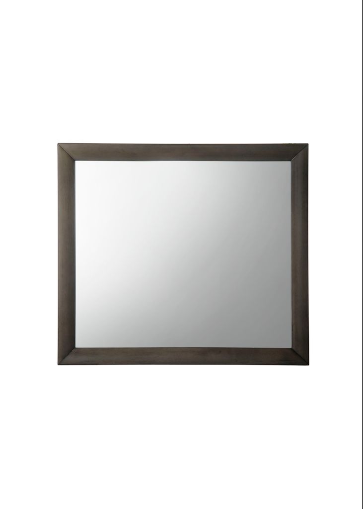Transition Style Wooden Mirror with Rectangular Shape,Gray and Silver - View 2