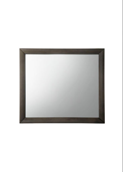 Transition Style Wooden Mirror with Rectangular Shape,Gray and Silver - View 2