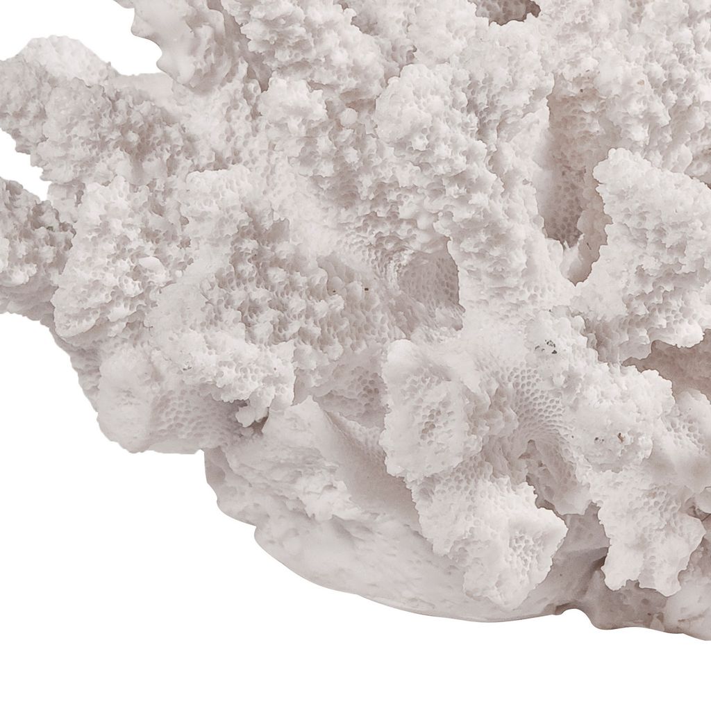 Lily 9 Inch Faux Coral Accent Sculpture, Polyresin Table Decoration, White - View 4