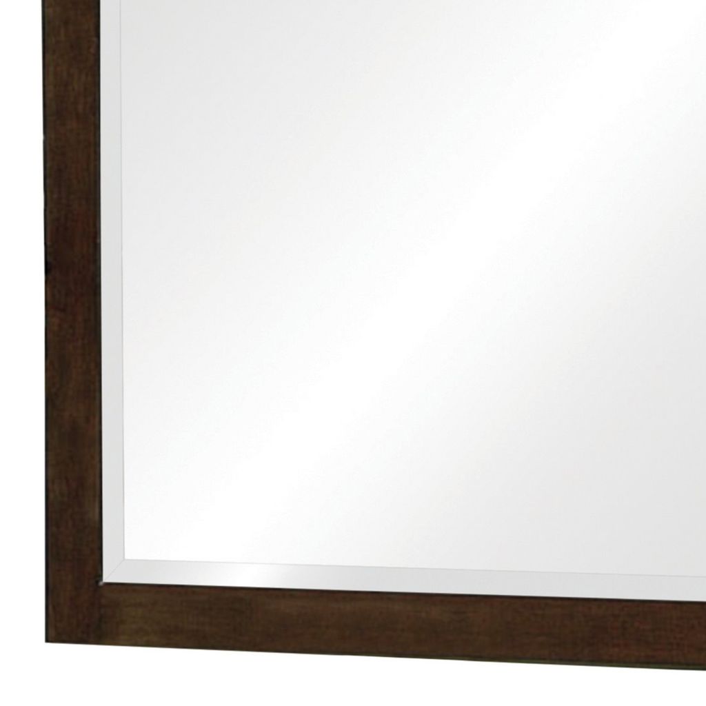 40 Inch Solid Wood Modern Mirror, Portrait, Framed, Cappuccino Brown - View 4